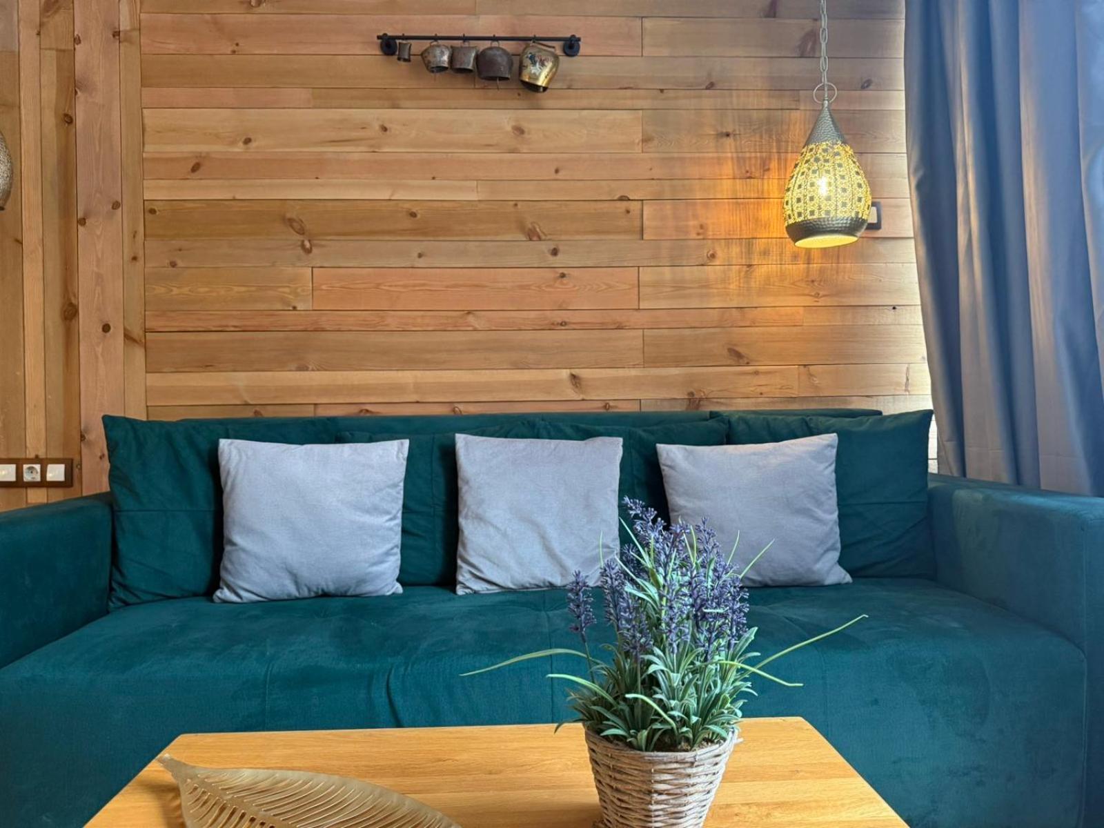 Villas Mura With Spa & Hot Swimming Pool ボロヴェッツ エクステリア 写真
